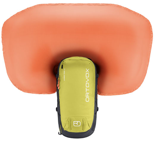 Electric avalanche airbag best sale